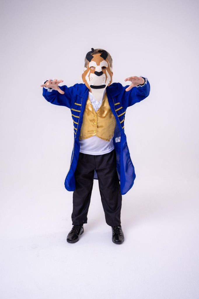 Fantasia Princesa Belli Principe Fera /A bela e a Fera